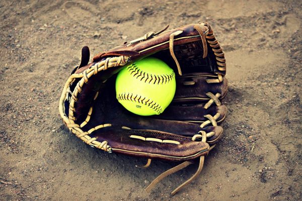 Bats, Bonds, and Goodbyes